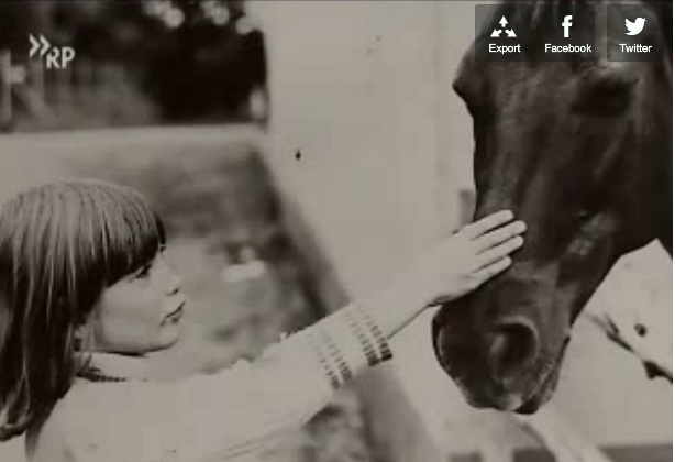 Anna petting horse
